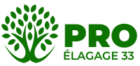 elagage-pro-elagage-33